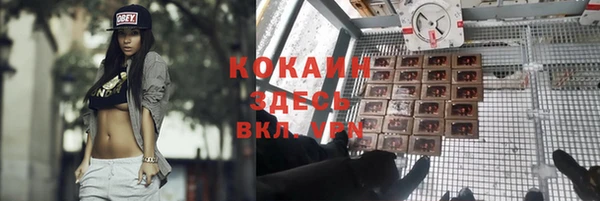 прущие грибы Дмитриев