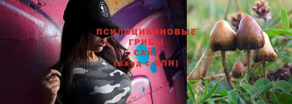 синтетический гашиш Дмитров