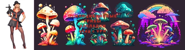 синтетический гашиш Дмитров