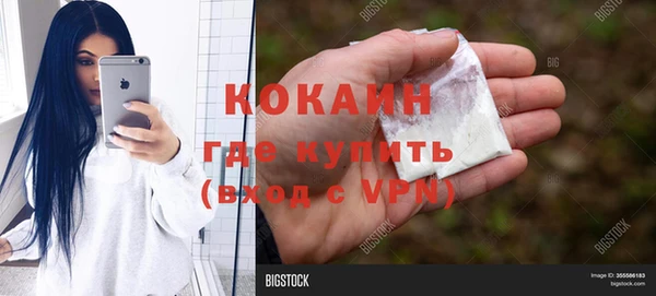 прущие грибы Дмитриев