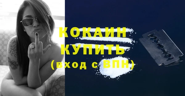 прущие грибы Дмитриев