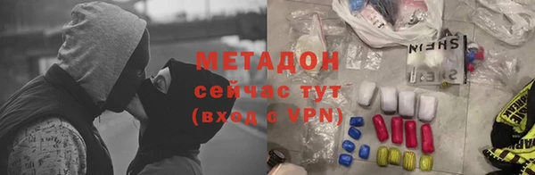 прущие грибы Дмитриев