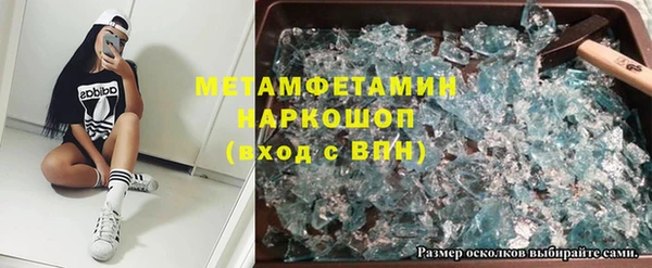 прущие грибы Дмитриев