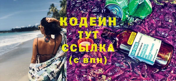 прущие грибы Дмитриев