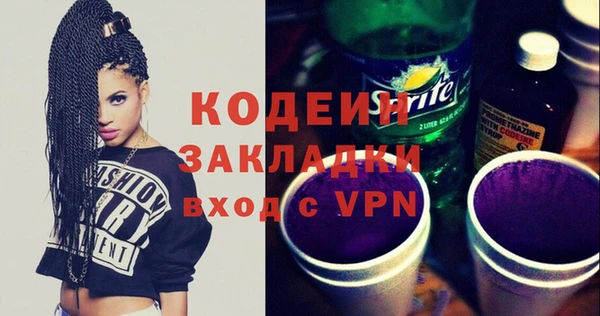прущие грибы Дмитриев