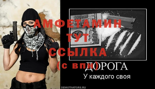 прущие грибы Дмитриев