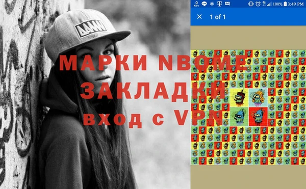 прущие грибы Дмитриев