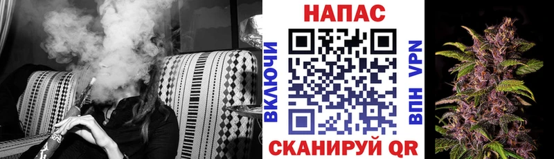 Каннабис гибрид  купить закладку  Злынка 